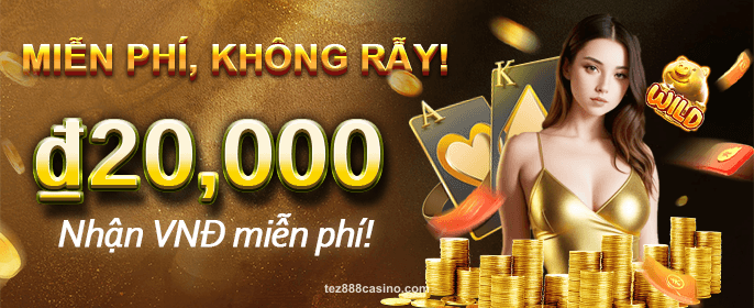 tez888 0801-VN2 New Game